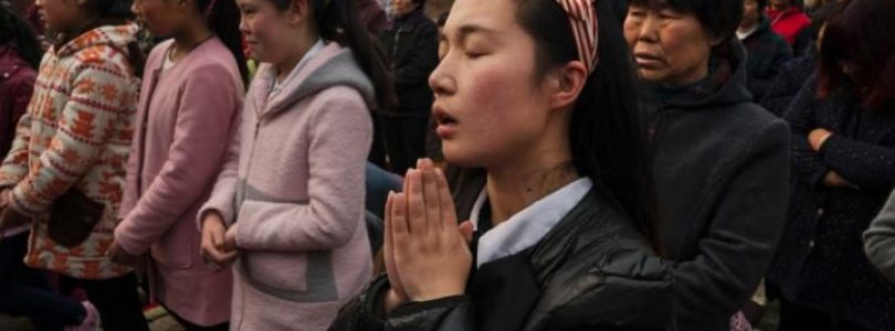 Kardinál Zen: “Vydávajú stádo do vlčích tlám”