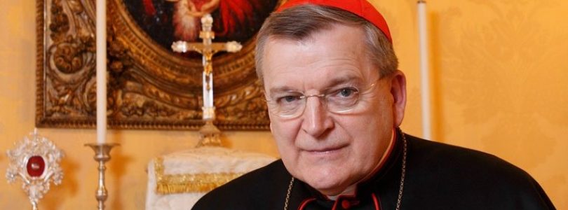 Kardinál Burke: Navodzuje sa dojem, akoby vznikala nová Cirkev bez primátu pápeža