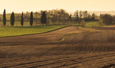 Taliansko plánuje, že rodiny s tretím dieťaťom odmení pôdou zadarmo