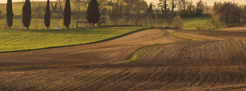 Taliansko plánuje, že rodiny s tretím dieťaťom odmení pôdou zadarmo