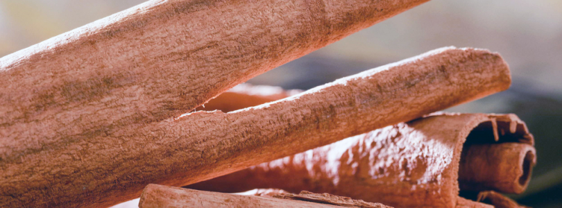 Blahodárne byliny spomínané v Biblii