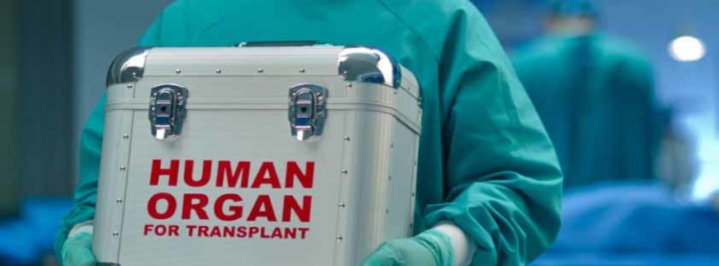 Pápežská univerzita: Mozgová smrť je len fikcia pre odnímanie orgánov žijúcim ľuďom