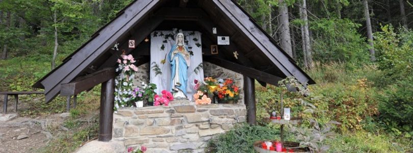 Ako sme volili v hlavných mariánskych pútnických mestách?