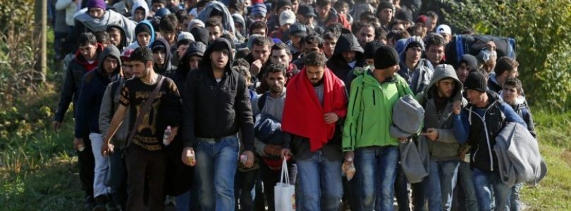 Kardinál Burke vyzval veriacich, aby sa vzopreli vládam, ktoré podporujú masívnu imigráciu