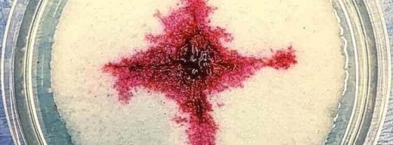 Rozhovor s kardiológom o vyšetrovaní eucharistických zázrakov