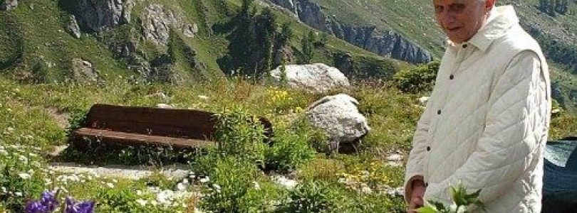 Benedikt XVI. po štyroch rokoch na vychádzke v Castel Gandolfe a okolí