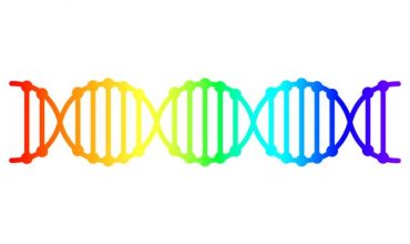 Historicky najväčší výskum vyvrátil, že homosexualita je geneticky vrodená.