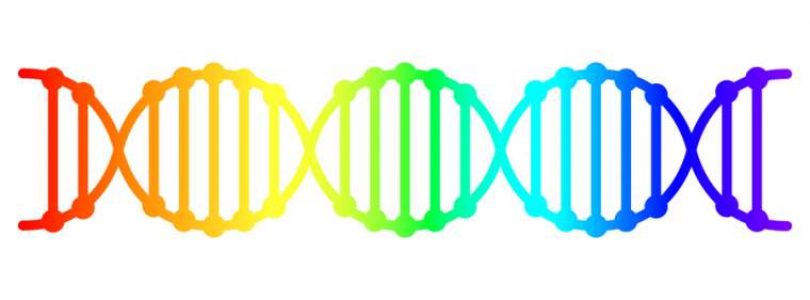 Historicky najväčší výskum vyvrátil, že homosexualita je geneticky vrodená.