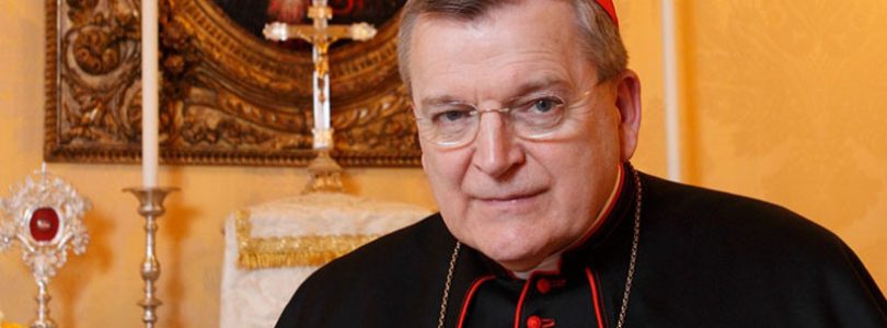 Kardinál Burke varuje pred vydaním nového katechizmu s “teologickými poznámkami.”