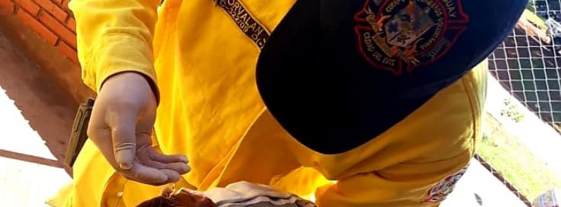 Zomierajúce bábätko po udelení krstu ožilo