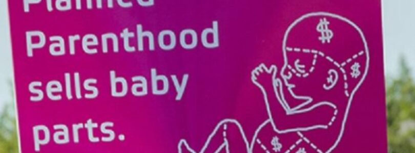 Prolifisti, ktorí odhalili ako sa predávajú časti tiel potratených detí, boli odsúdení na 2,4 milióna dolárov