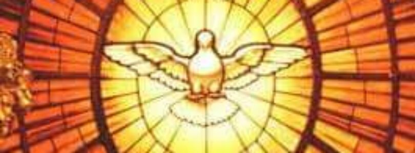 Miroslav Vetrík: Vedieť rozlišovať